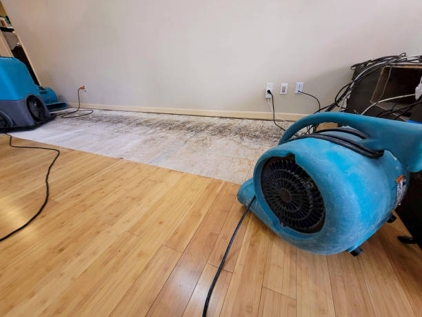 Professional Water Damage Repair technician working in Goshen, MA